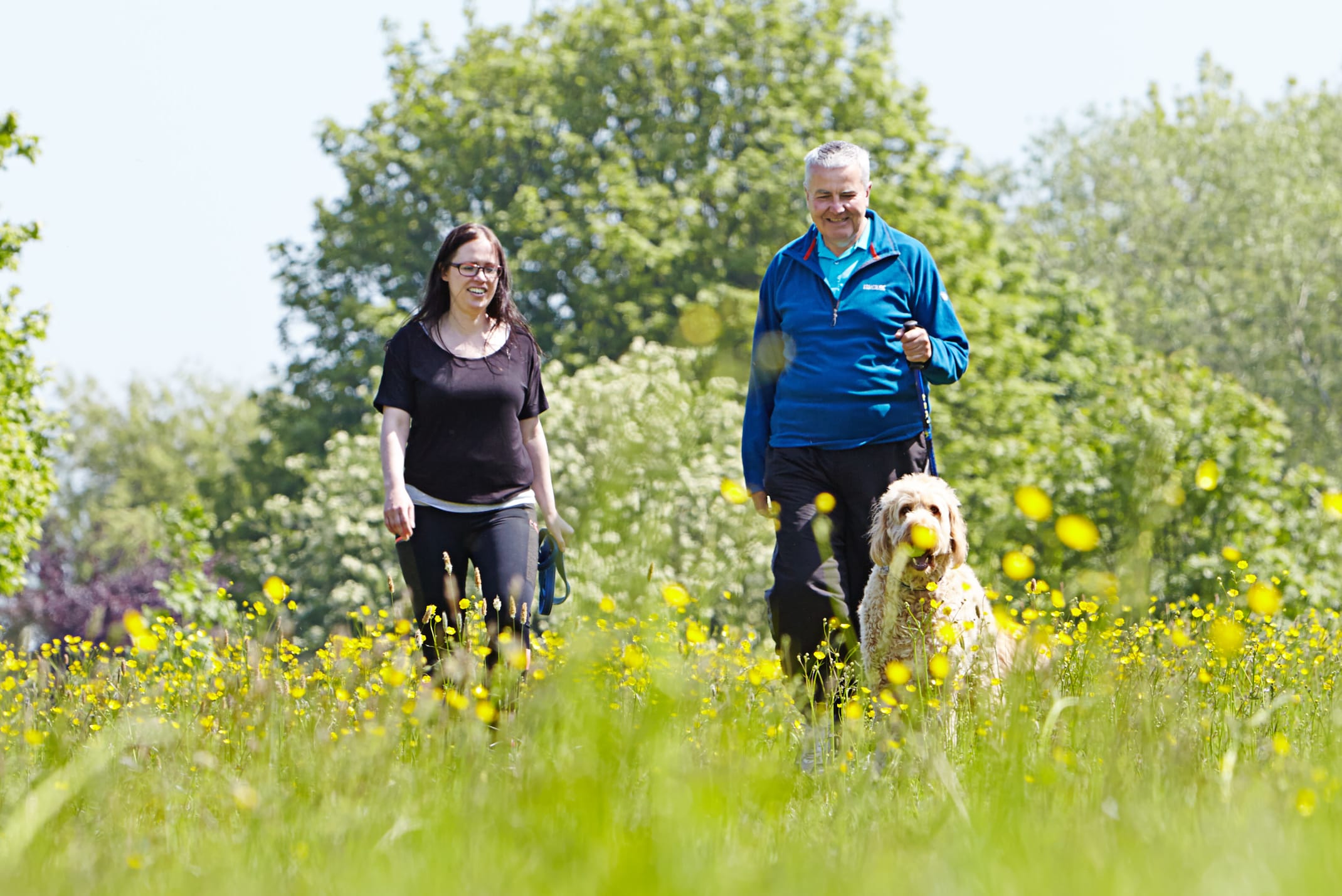A man and a woman walk together with a golden retriever dog through a grassy meadow.